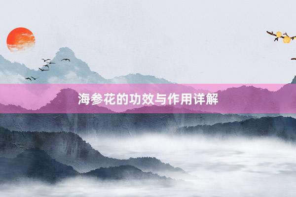 海参花的功效与作用详解